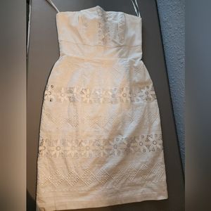 Gorgeous Embroidered Lace Dress